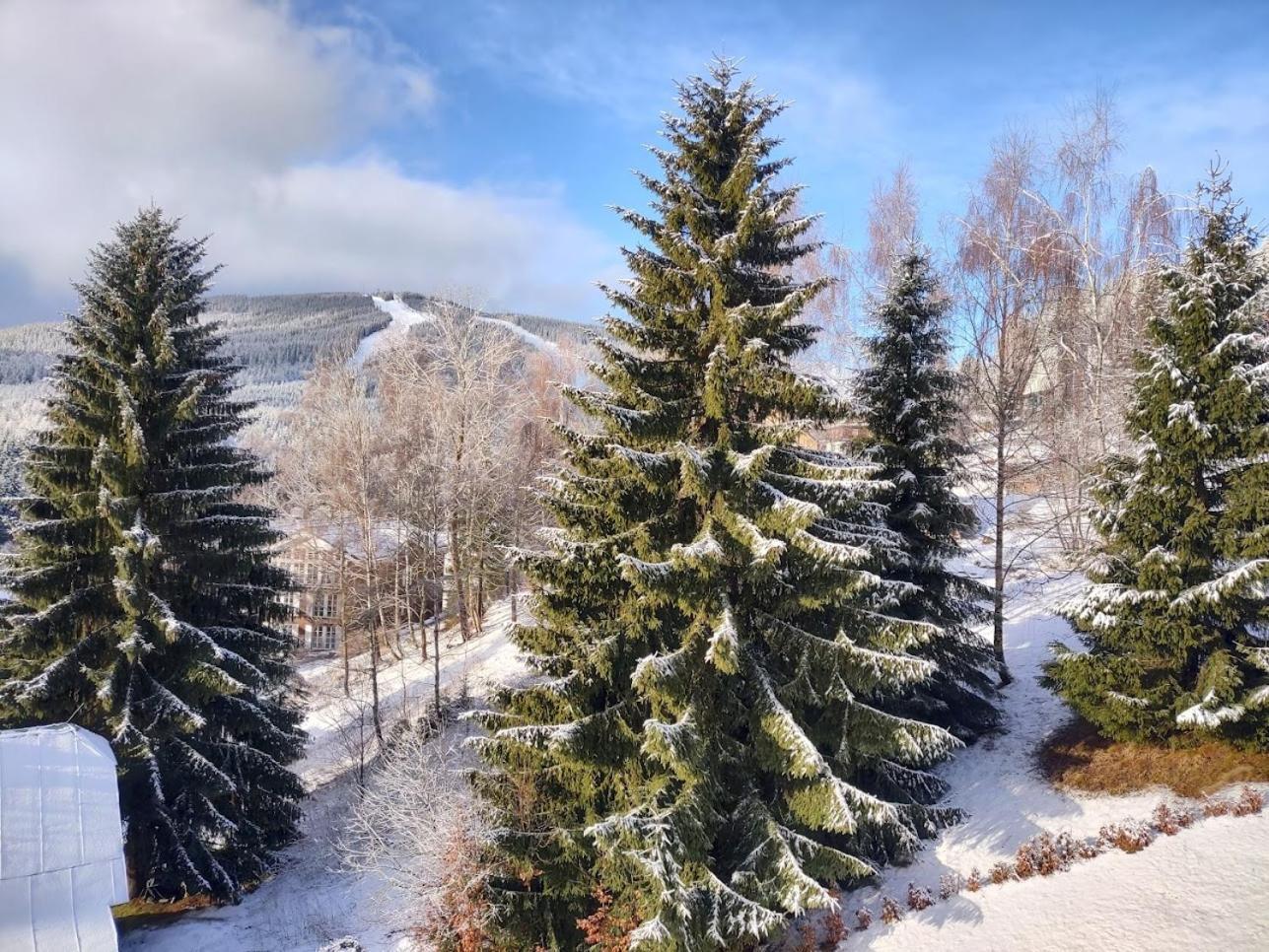 Triluzkovy Pokoj Pension Kubu Шпіндлерув-Млин Екстер'єр фото